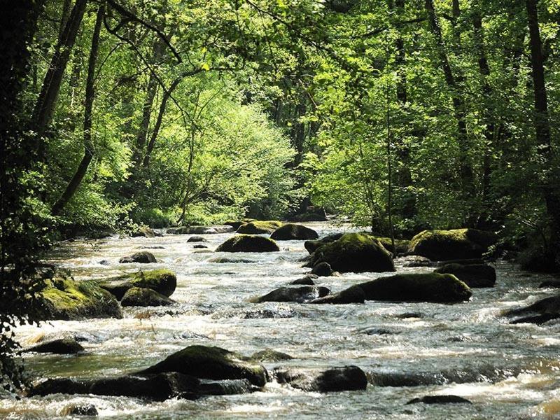 Vila La Grange Taillebois Exteriér fotografie